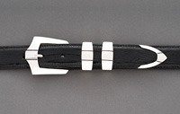 TDSC-2.5